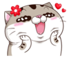 WVTKW5J.png