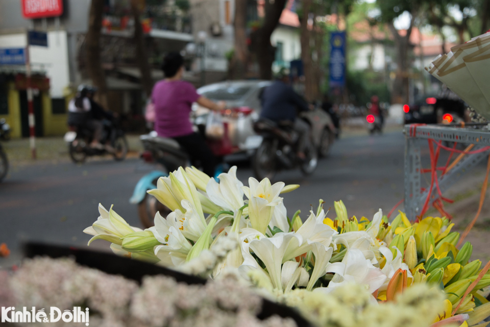 Giữa những con phố nhộn nhịp, đông đúc người qua kẻ lại, đâu đó du khách sẽ bắt gặp những gánh hoa loa kèn trắng muốt.