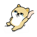 nZIT7e5.png