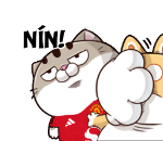 cdIQBm6.png