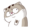 ycGRSE7.gif