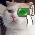 JZguOjM.gif