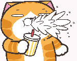 rXrbyXJ.gif