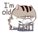 RMMAirT.png