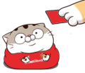 osQwGfZ.png