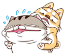po84B29.png