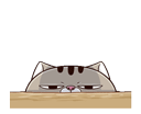 Qx3wQLu.gif