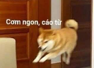 5LlSTTu.png