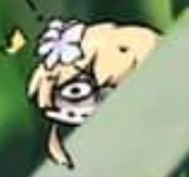 D5VAn80.png