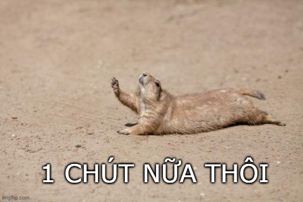 apu6gl.jpg