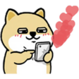 WhHOiYT.png