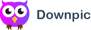 downpic.cc