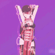 1xB1jnq.gif