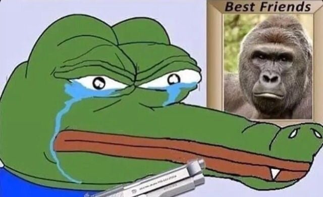 396695.jpg