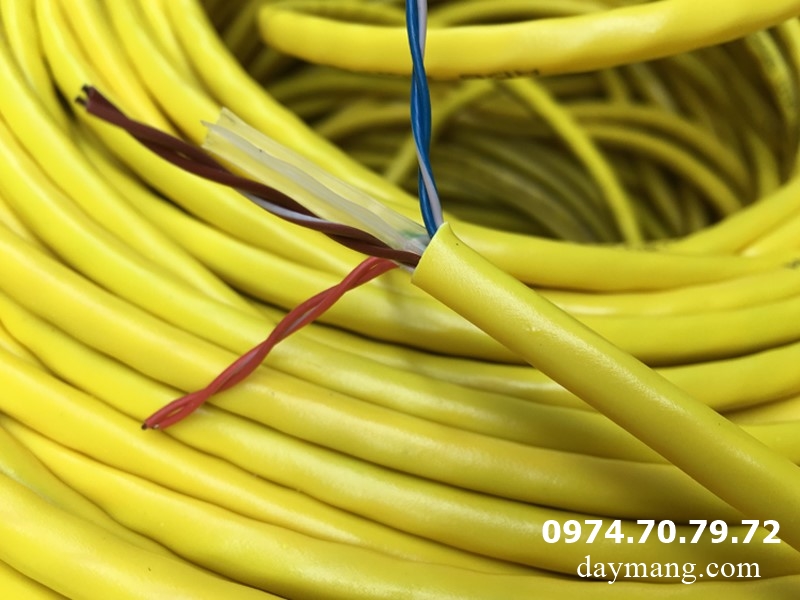 cap-mang-cat6-adb-2.jpg