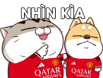 g9RaVqs.png
