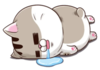 xKPx847.png
