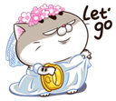 Fp8m6yF.png