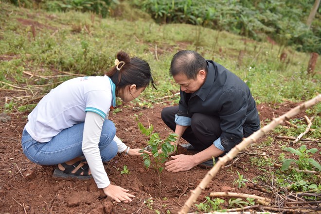 Giao khoán bảo vệ rừng, người dân Quảng Bình hưởng lợi ích “kép”