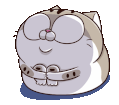 Owcv9eL.gif