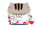 BQnjB69.gif