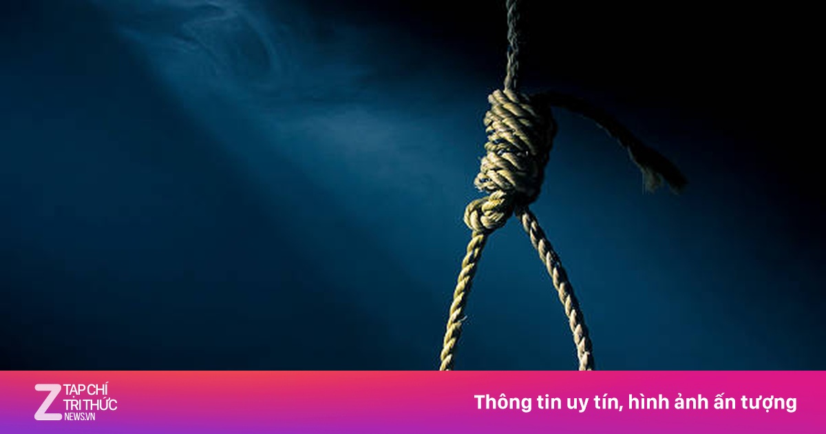 znews.vn