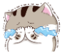 iN6Mgc7.png