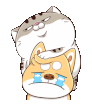 mvNl4cY.gif