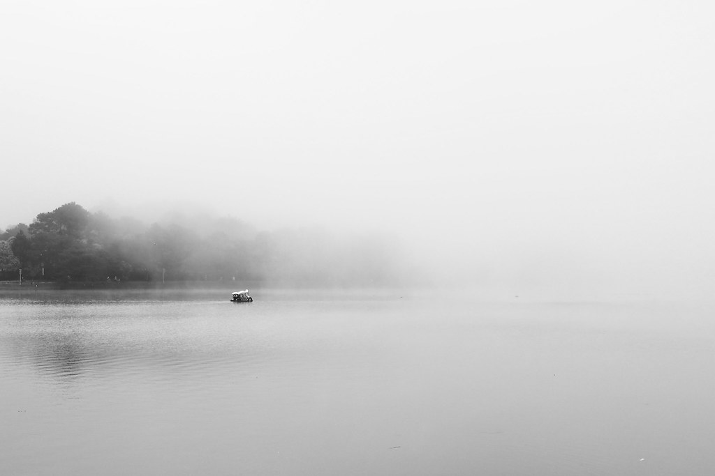 52915830731_a0f28d8e26_b.jpg