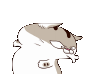 cMWPIFg.gif