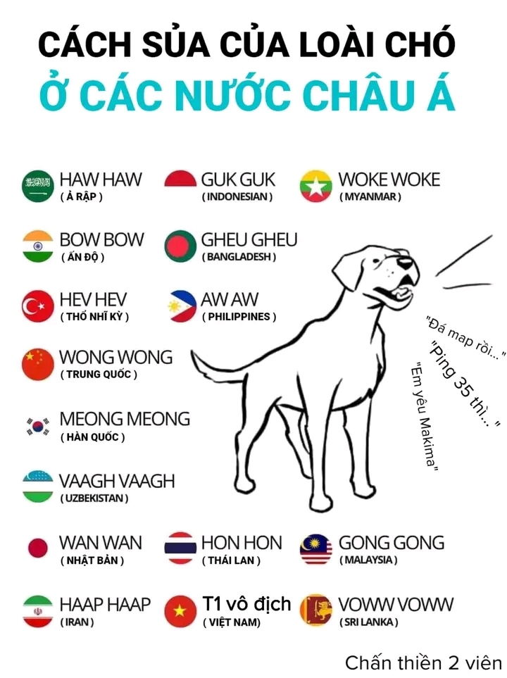 rmOKzXI.jpg