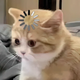 AtXesGE.png
