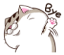 QN1aDkN.png