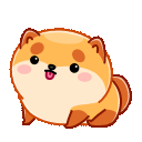6Z3gQfm.gif
