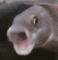 u9Urpg6.gif