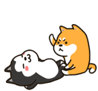 y3Ctj2P.gif