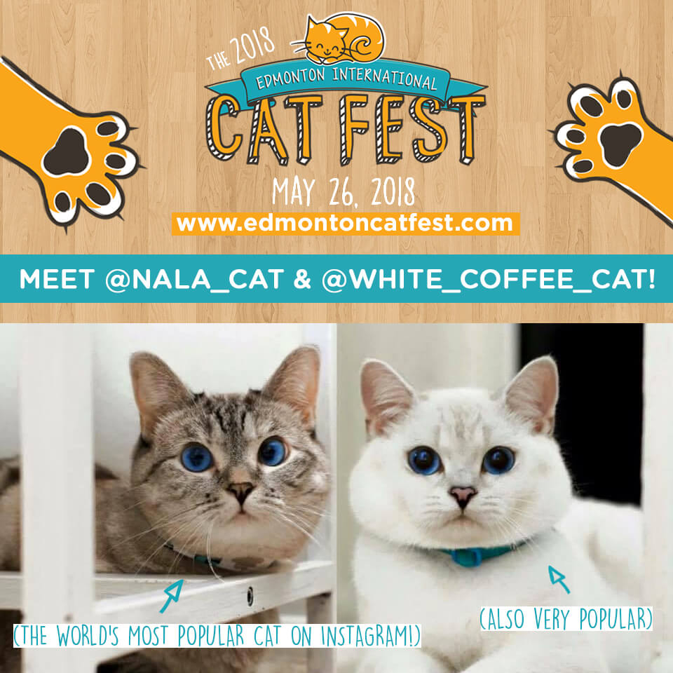 960x960-White-Coffee-Cat-and-Nala-3-copy.jpg