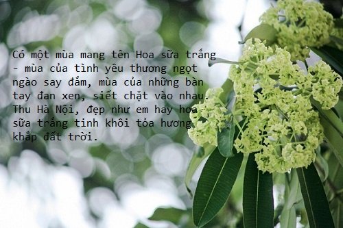 d66a0a049c89e2c32322a8a1c1525415.jpeg