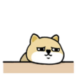 tNGa2UX.png