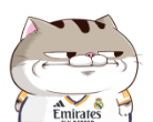 K0pyjev.png