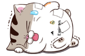 GcwkXyW.png