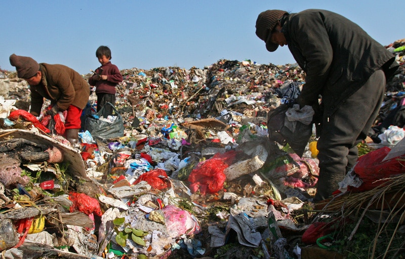 earth.org