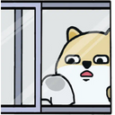 rtjSFTT.png