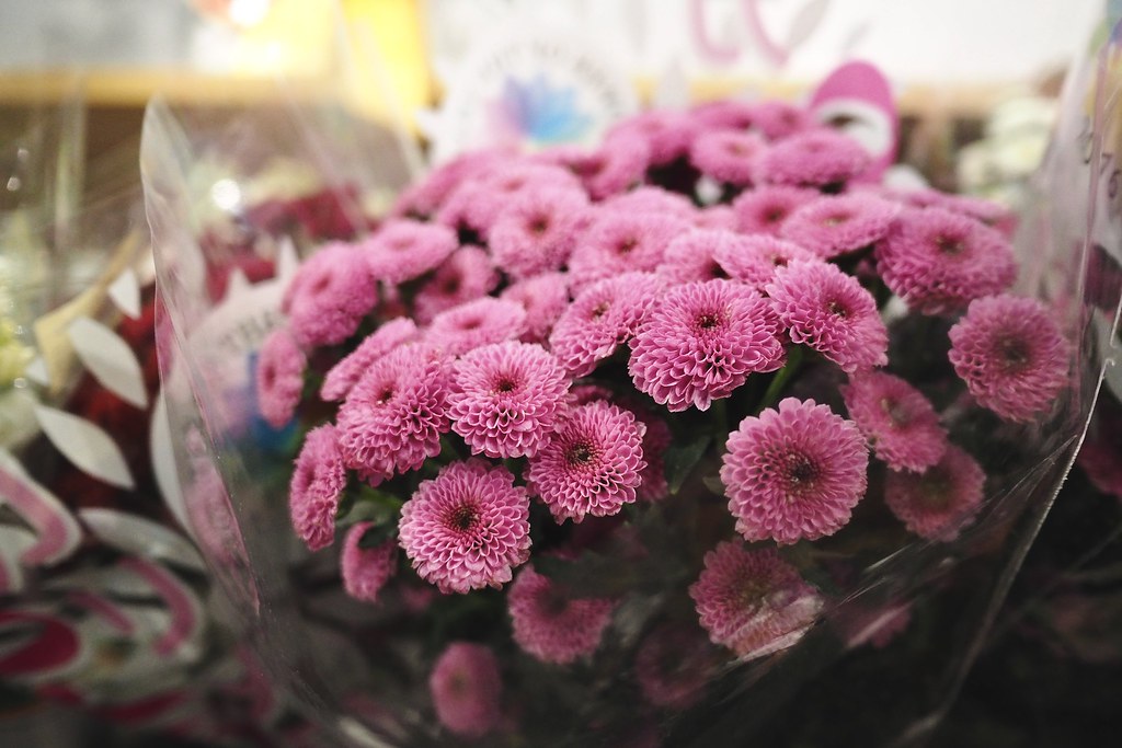 52718860601_c15827ba5c_b.jpg