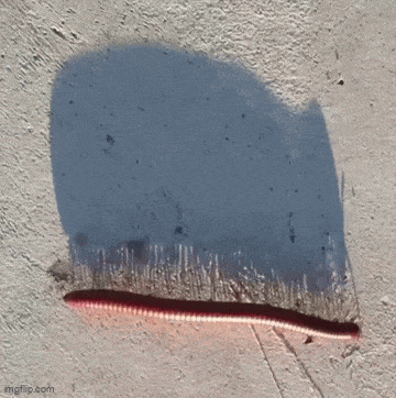 c99f367ce894d6fb82d9a8a39150da3a.gif