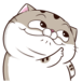 dufuCMV.png