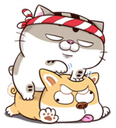 AOtFD1u.png
