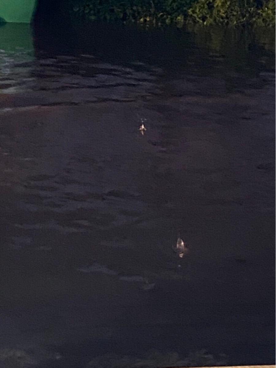20208d172700-116a-4f85-8b94-f3ed0743806d.png