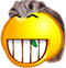 y7j6STq.png