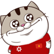 VphgXt5.png